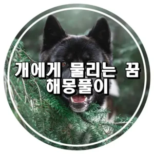 개에게 물리는 꿈 해몽풀이 썸네일정보