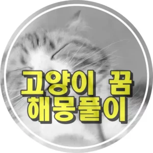 고양이가 애교를 부리는 모습