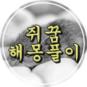 쥐가 나오는 썸네일