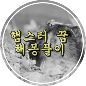 햄스터 꿈 썸네일 사진