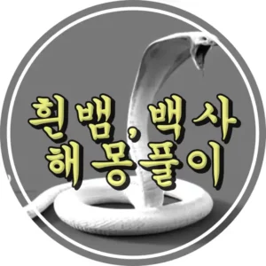 흰뱀 꿈 백사 꿈 해몽풀이 썸네일 코브라 처럼 생긴 뱀이 공격을 하고있다