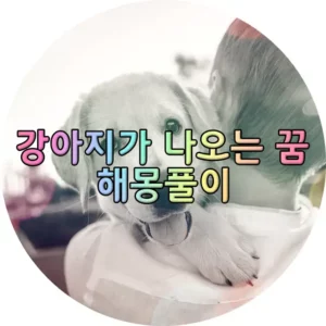 강아지가 나오는 꿈 썸네일사진